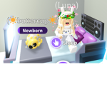 neon Wolfie pack