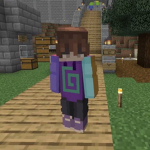 Dream SMP fanclub or fans