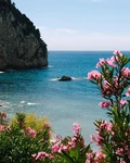 ghala10.11 Group Thumbnail