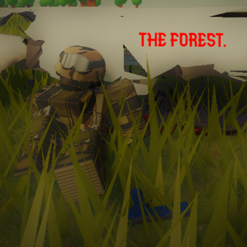 the forest. 