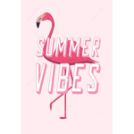 Flamingo summer