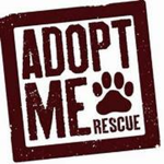 savages Adopt me channel