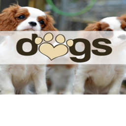 Dog's Home store