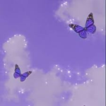 Butterfly’s win!