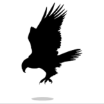 Beşiktaş Karate