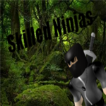 Skilled Ninjas