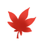 메이플 조직 (Team Maple)