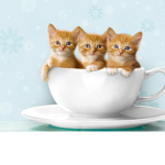 The Kitty Lovers