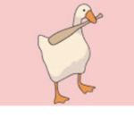 DuckCoheese