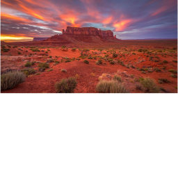 Heat Stroke