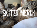 SKITZO MERCH <3