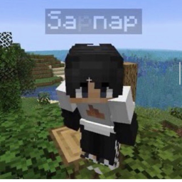✧