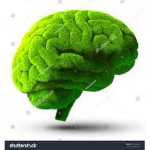 green brain