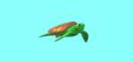 Terrific Turtles!