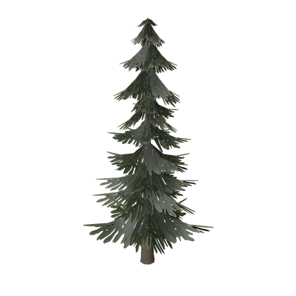 Pine Tree
