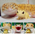 reptile escape