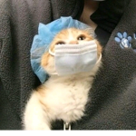 채린이입니당!