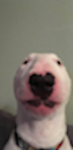 oitgoprkgfl Group Thumbnail