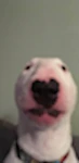 oitgoprkgfl Group Thumbnail