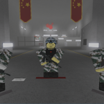 The Peoples Liberation Army (PLA)