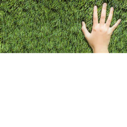Touching Grass