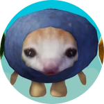 Blueberry Cat Morph!