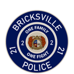 BricksVille City Police Department