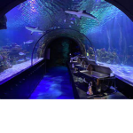 The Aquarium.