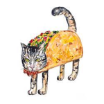 TacoCat Is TacoCat Backwards