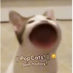 || PopCats! ||