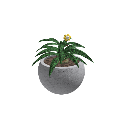 Potted Table Plant