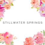 Stillwater Springs (Christian group)