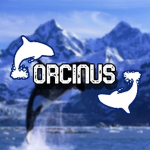 Belonging to Orcus