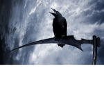 The Ravens.