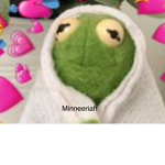 Minneeriah fan group