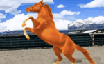 ROBLOX Horse Races