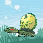 Turtle Duck Studio's