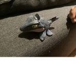 Max and shaaaaark