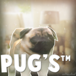 Pug's™