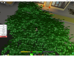 Jacks Dhc Shop