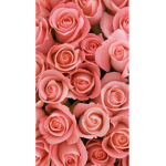 Flowers&Butterflyes_