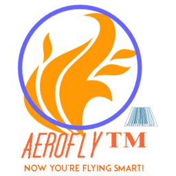 Aerofly™International Airport