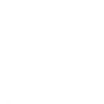 Feathers Studios