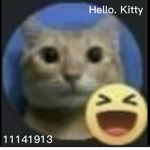 Hello. Kitty