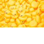 Ducks Quack :p