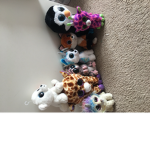 Beanie boo love
