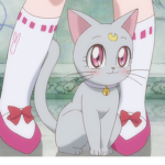 sailor kittens
