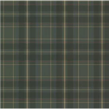 wallpaper Roblox decal