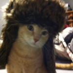 Fedora Fan