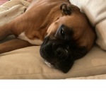 Boxers only soooo